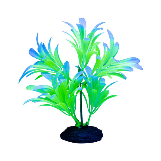 Green & White, 1ea/SM