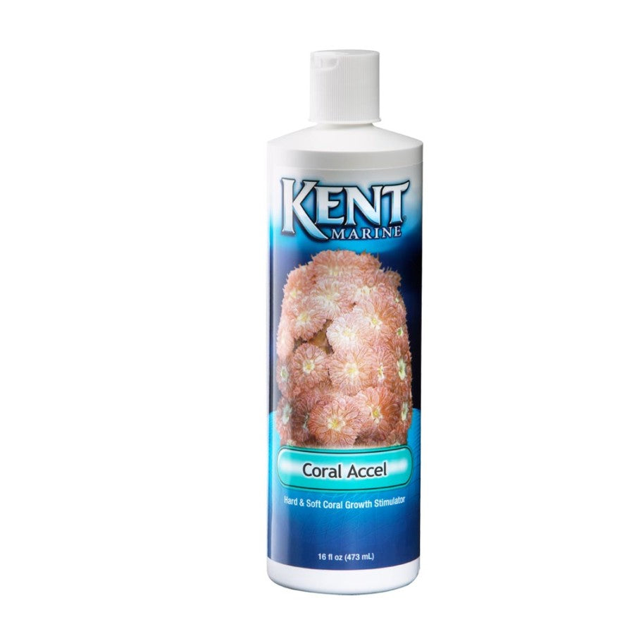 Coral, 1ea/16 fl oz