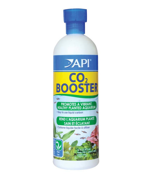 1ea/16 fl oz