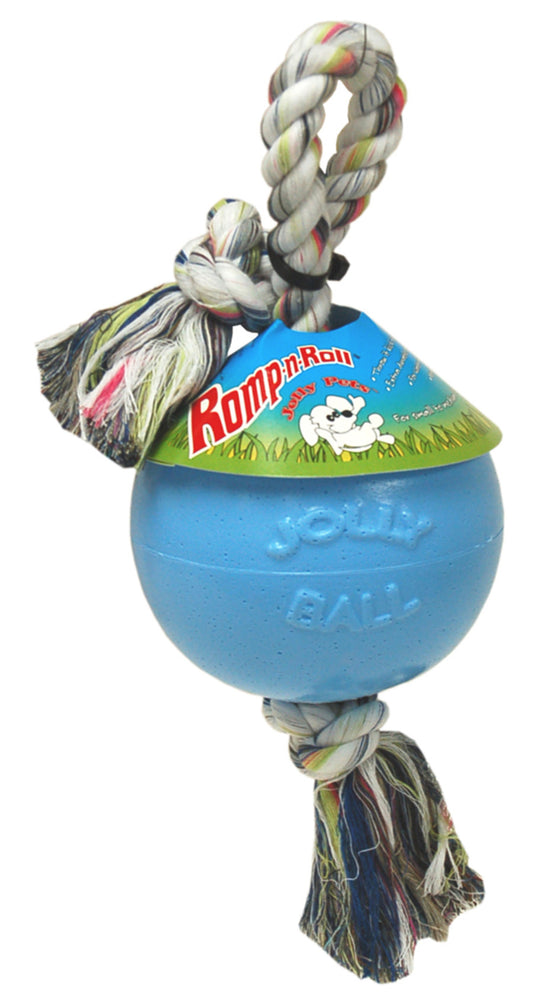 Blueberry, 1ea/MD, 6 in