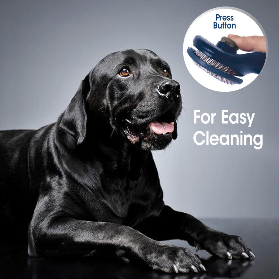 Self-Cleaning Brush, 1ea/One Size