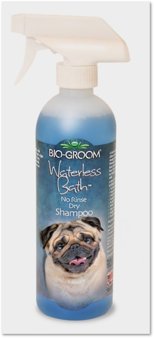 1ea/16 fl oz