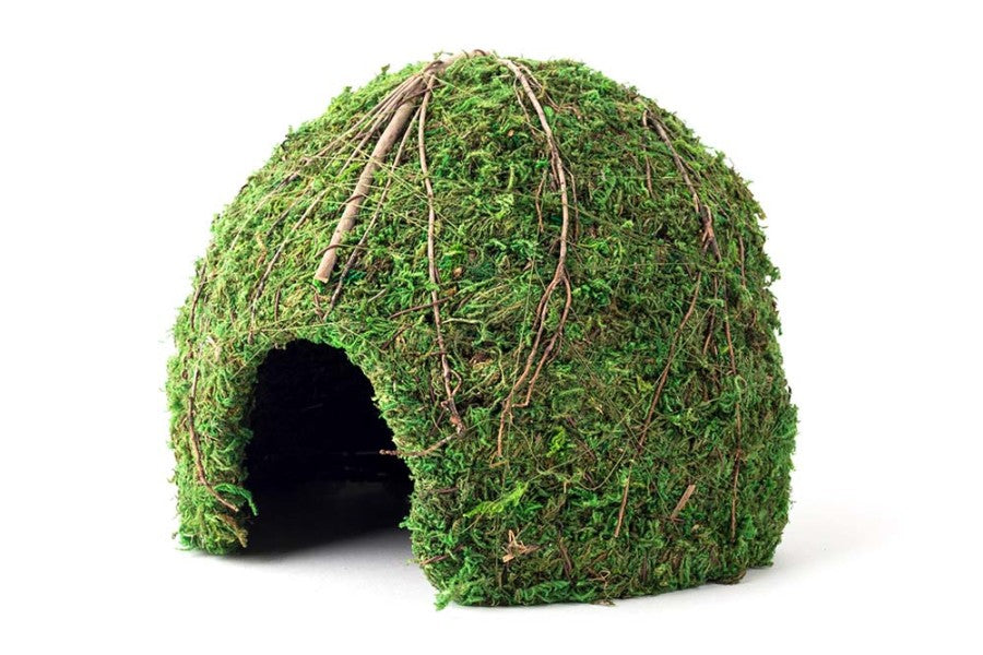 Fresh Green, 1ea/9 in