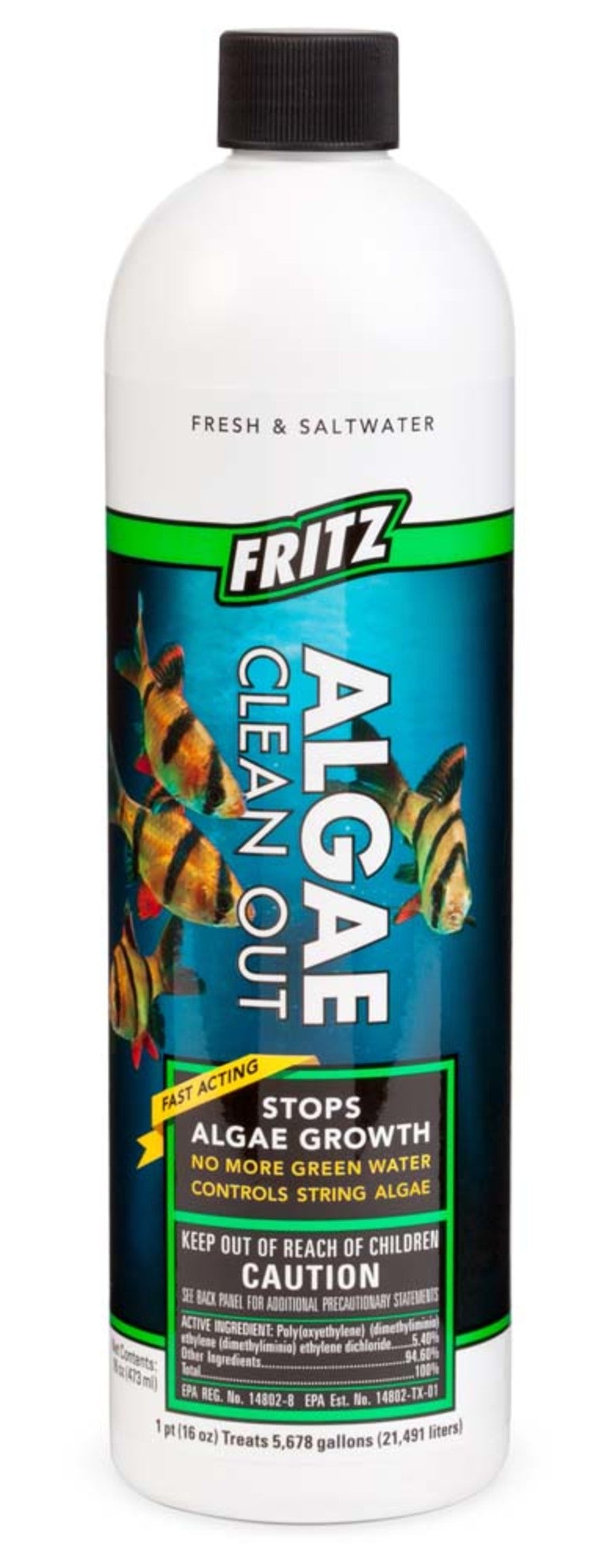 1ea/16 fl oz