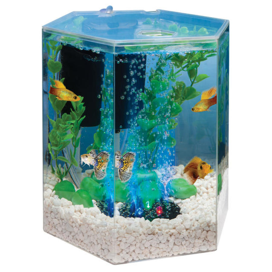 Clear, 1ea/1 gal
