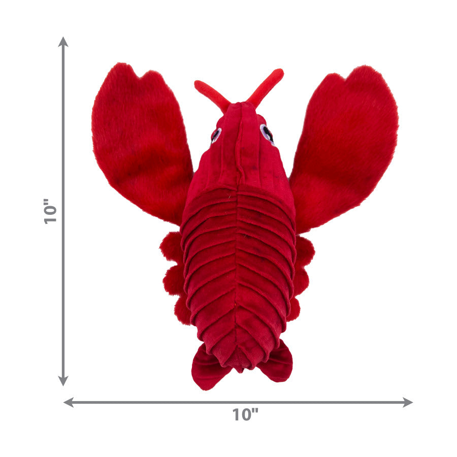 Lobster, 1ea/SM/MD