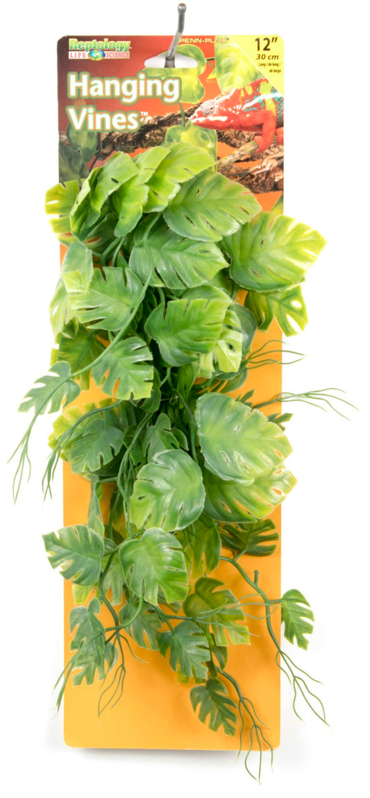 Green, 1ea/12 in