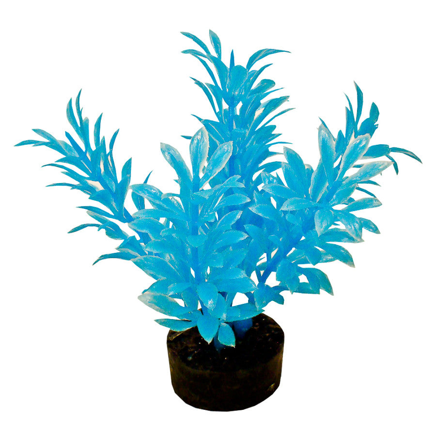 Neon Blue, 1ea/4 in