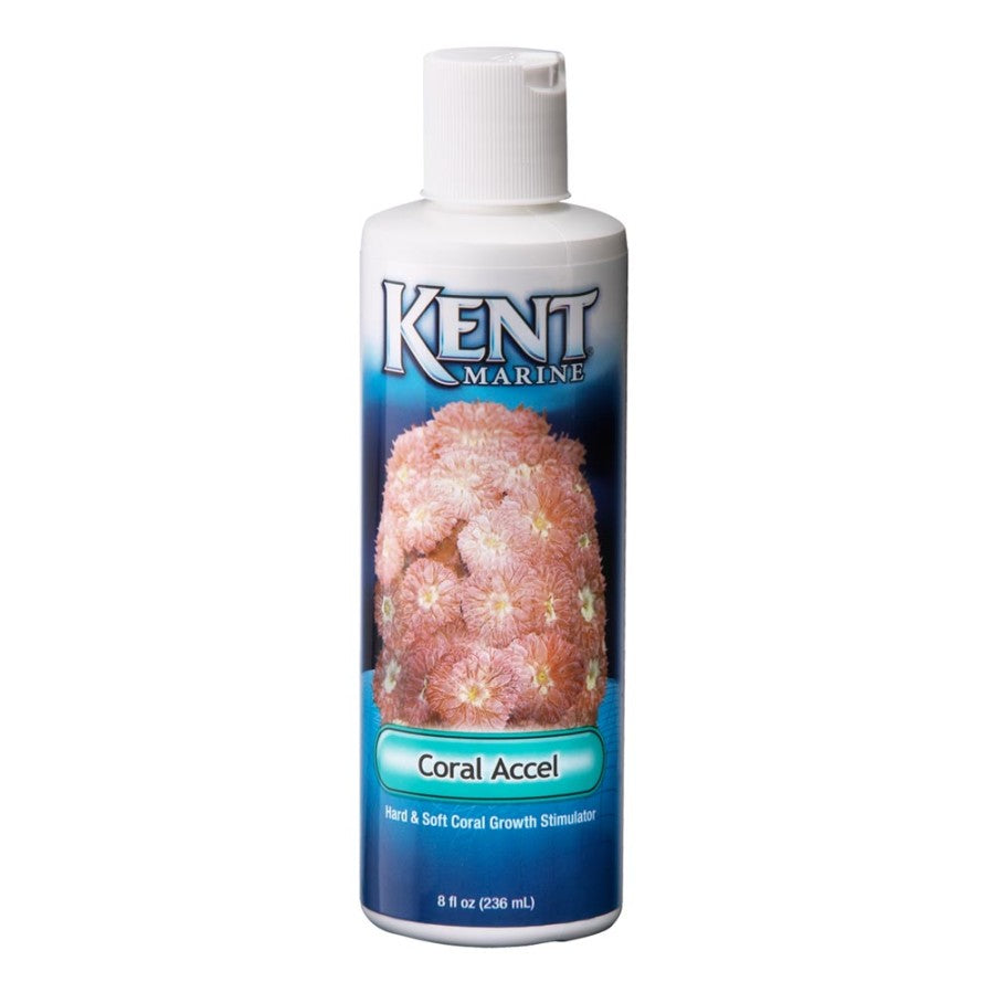 Coral, 1ea/8 fl oz