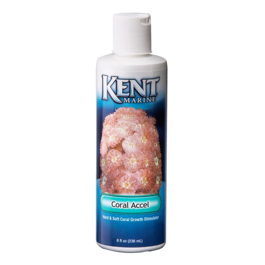 Coral, 1ea/8 fl oz