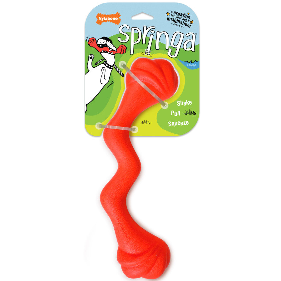 Springa, 1ea/- Not Intended For Chewing