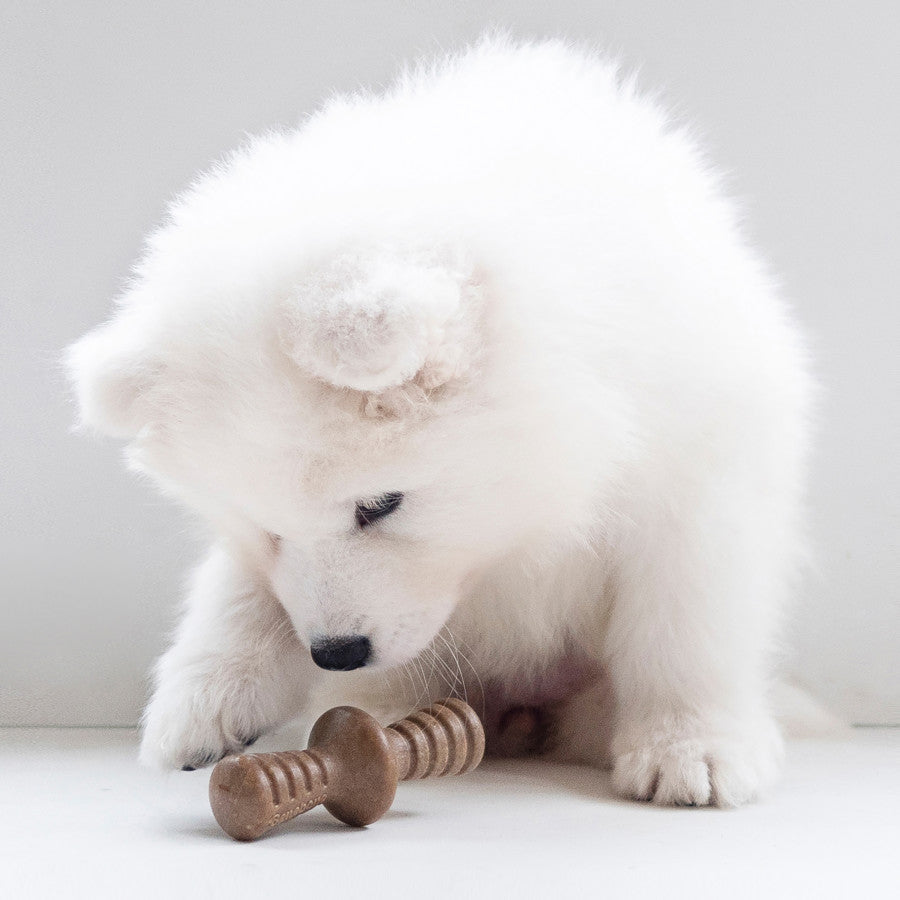 Maplewood & Bacon, 1ea/XS|2 pk