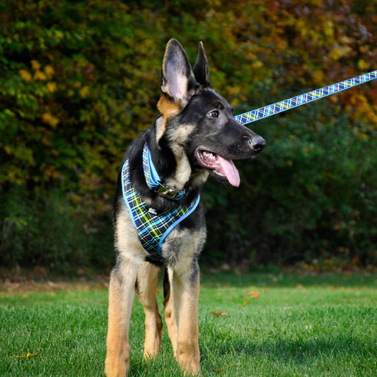 Pink, 1ea/5/8 In X 6 ft