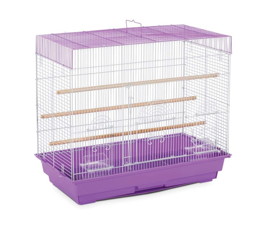 Black/Sage Green, White/Lilac, 2ea/2 pk
