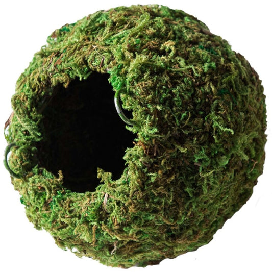 Fresh Green, 1ea/4 in