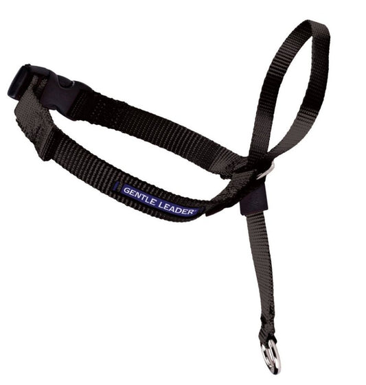 Black, 1ea/Petite