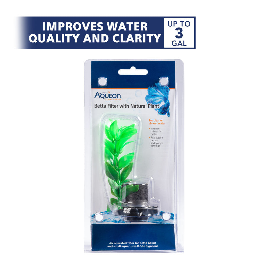 Natural Plant, 1ea/One Size