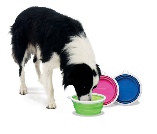 Assorted, 1ea/3 Cups