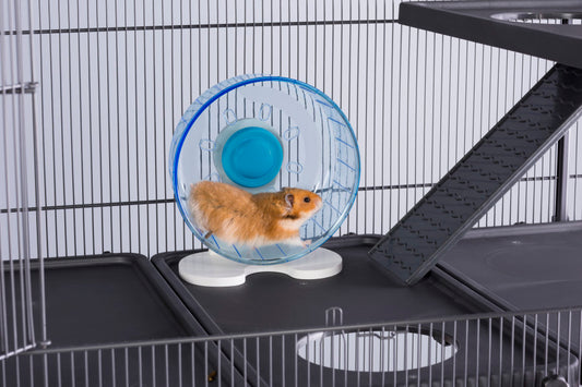For Mouse/Gerbil, Translucent Blue, White, 1ea/8 in