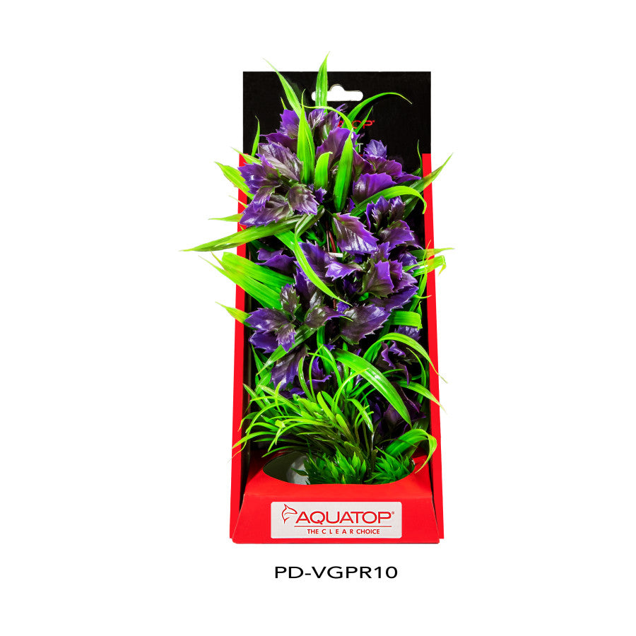 Purple, 1ea/10 in