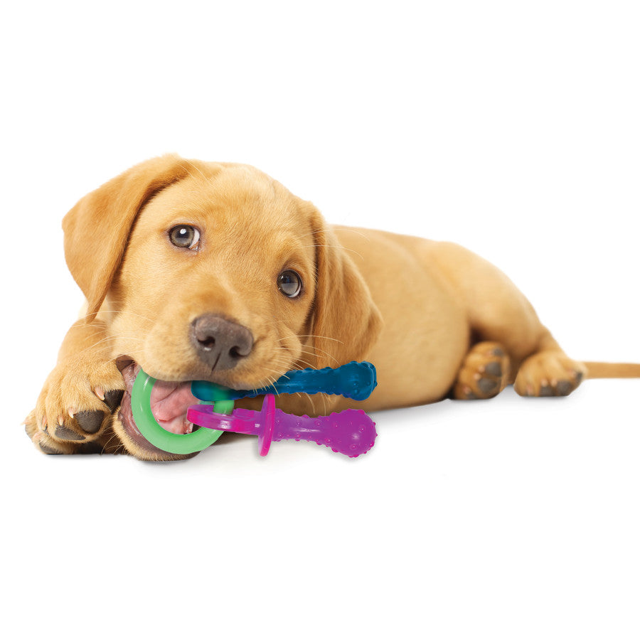 Pacifier, 1ea/SMall/Regular (1 ct)