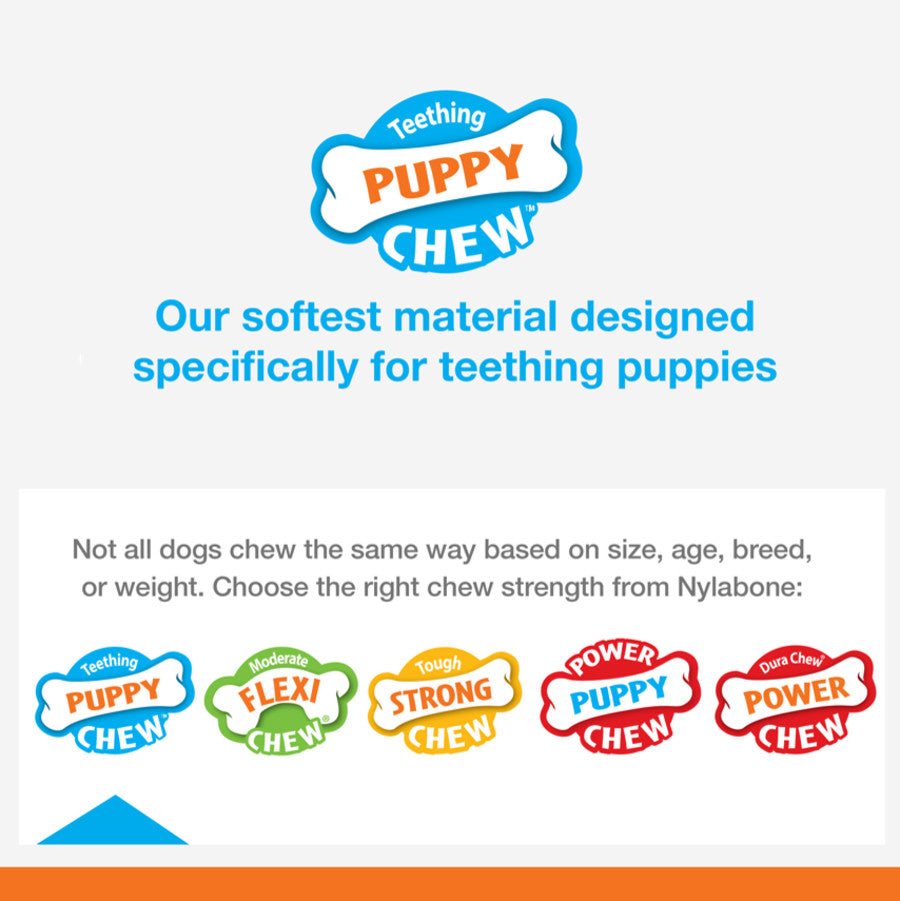 Puppy, Lamb & Apple, 1ea/SMall/Regular (1 ct)