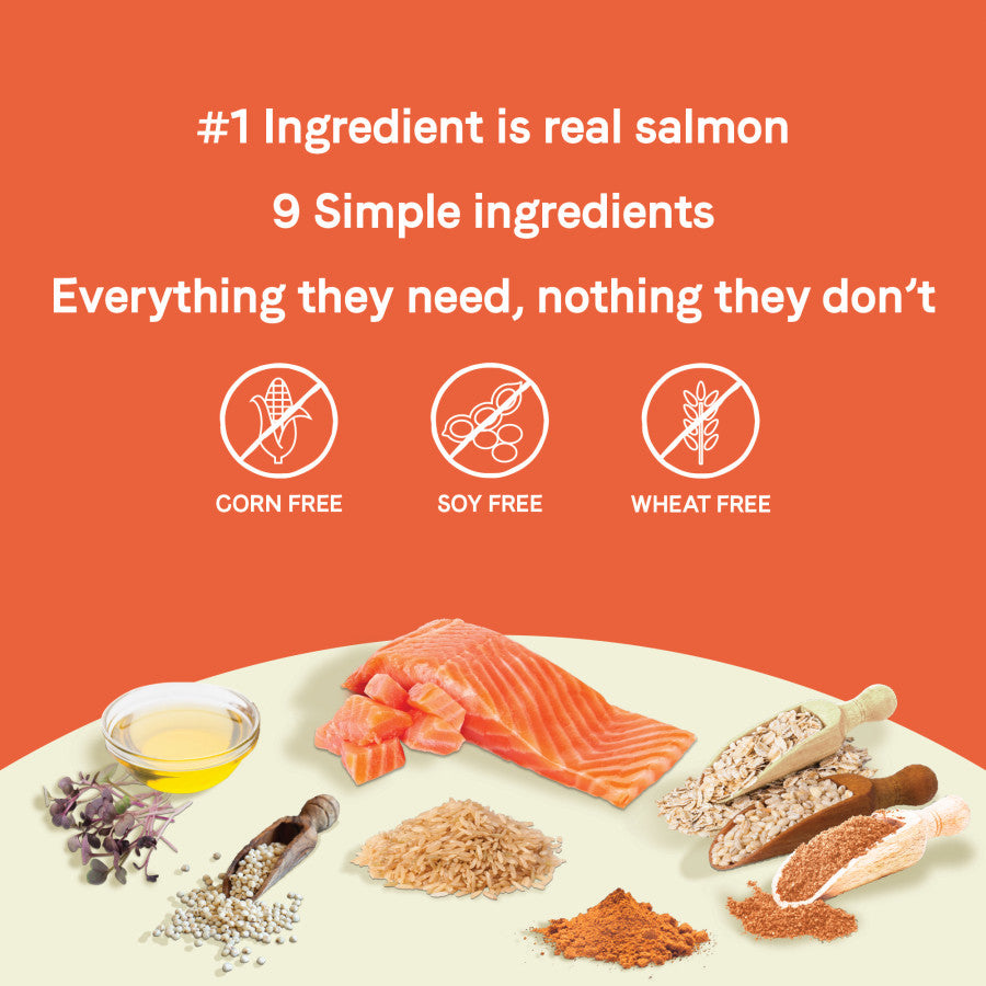 Salmon & Sweet Potato, 1ea/12 lb