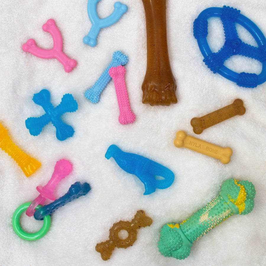 Pink Bone, Chicken, 1ea/XS/Petite (1 ct)