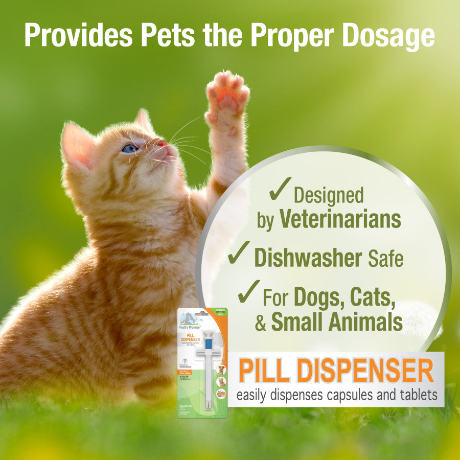 Pill Dispenser, 1ea/SMall