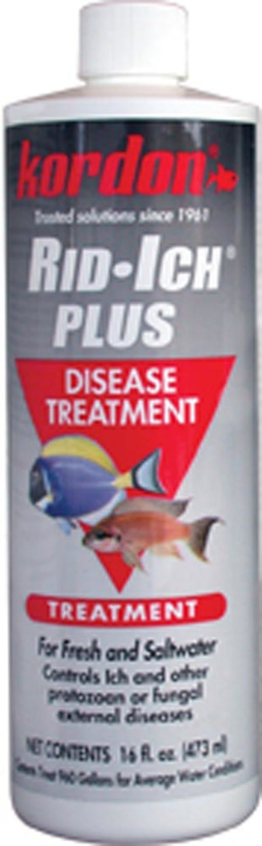 1ea/16 fl oz