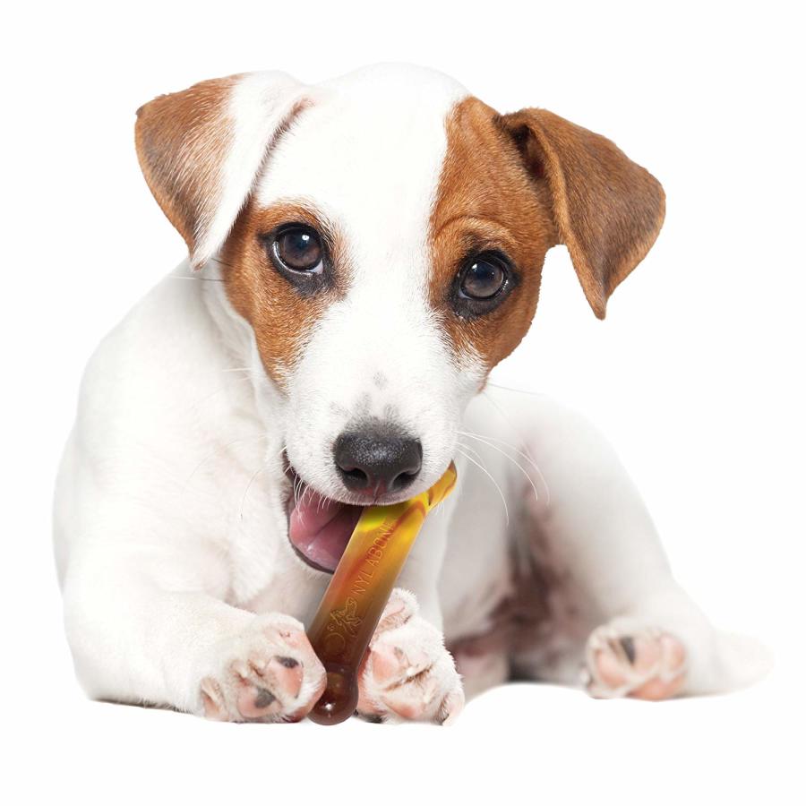 Chili Cheese Dog, Popcorn & Cherry, 1ea/SMall/Regular (3 ct)