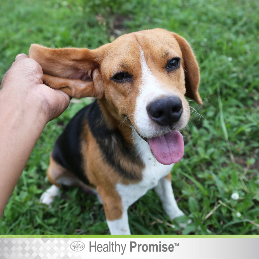 Ear Wash, 1ea/4 oz