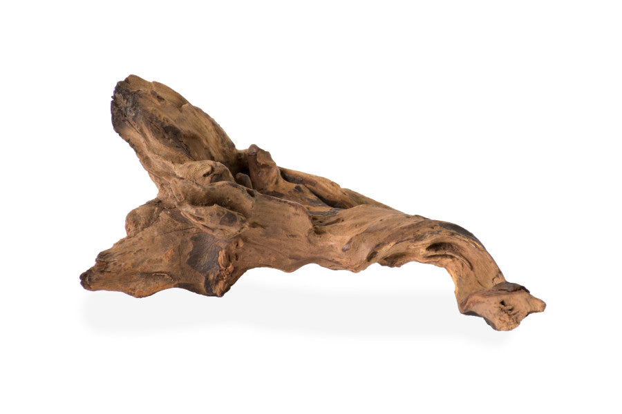 Brown, 1ea/3-6 in, XS