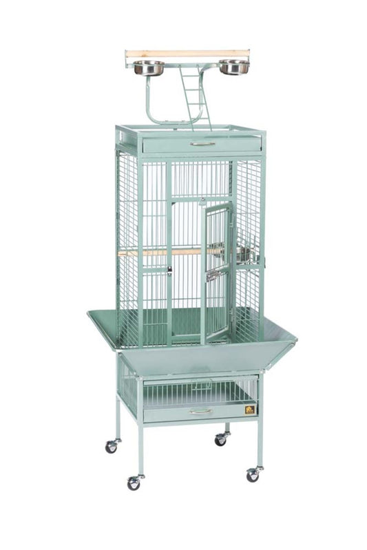 Sage Green, 1ea
