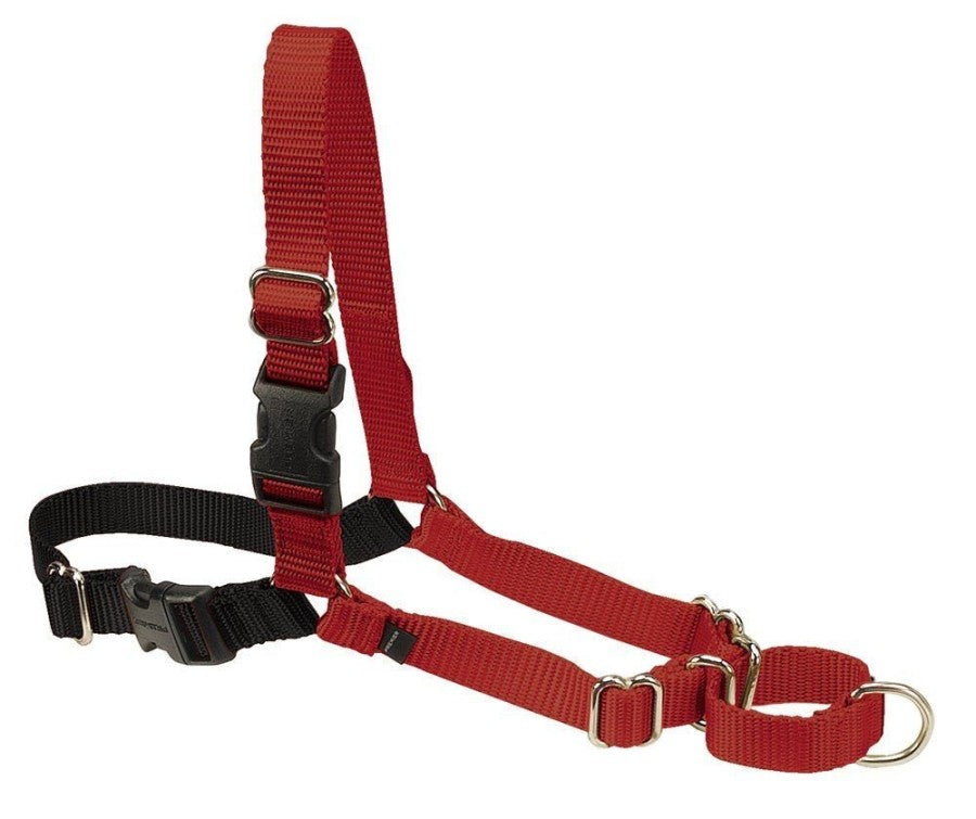Black/Red, 1ea/LG