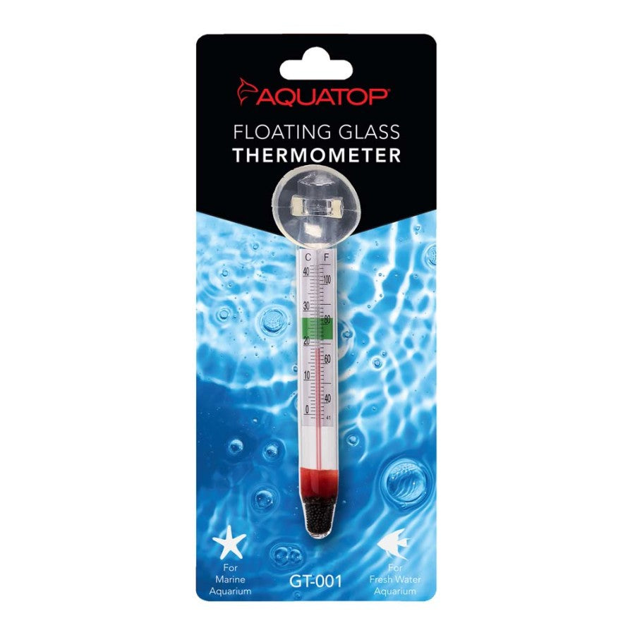 Clear, 1ea