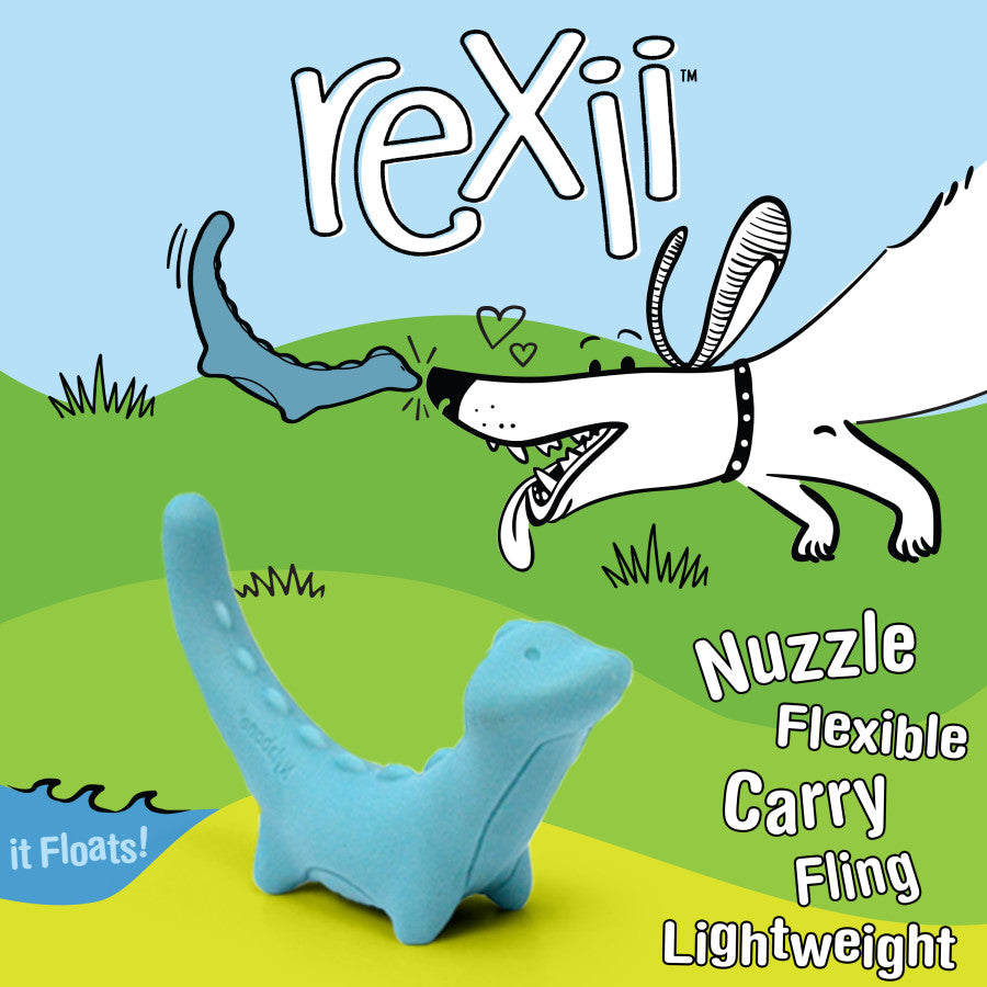 Rexii, 1ea/- Not Intended For Chewing