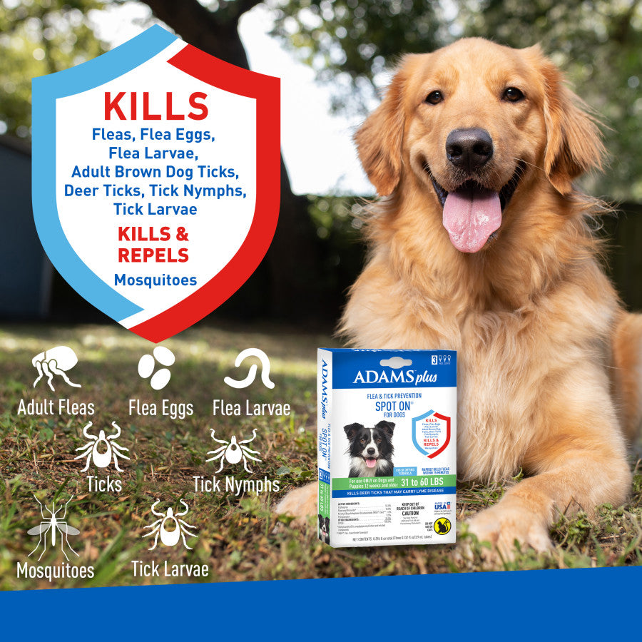 3 Month Supply, 1ea/Large Dogs 31 To 60 lb