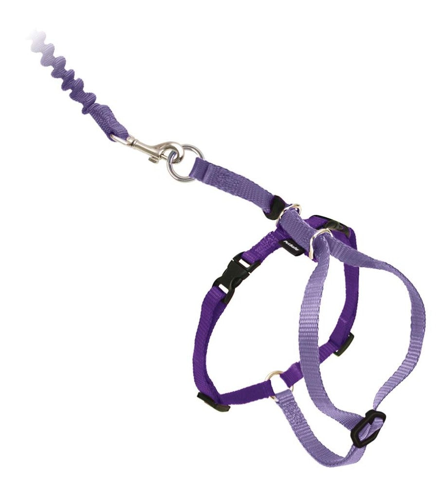 Lilac/Deep Purple, 1ea/MD