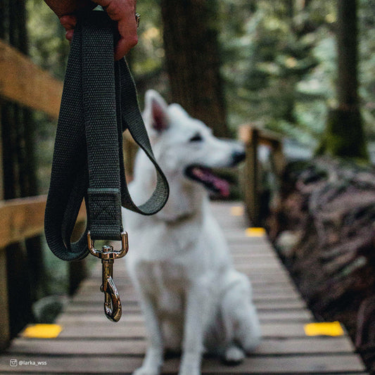 Forest, 1ea/5/8 In X 6 ft