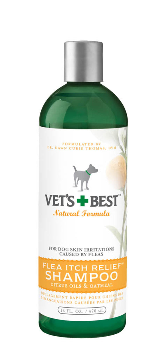 1ea/16 fl oz