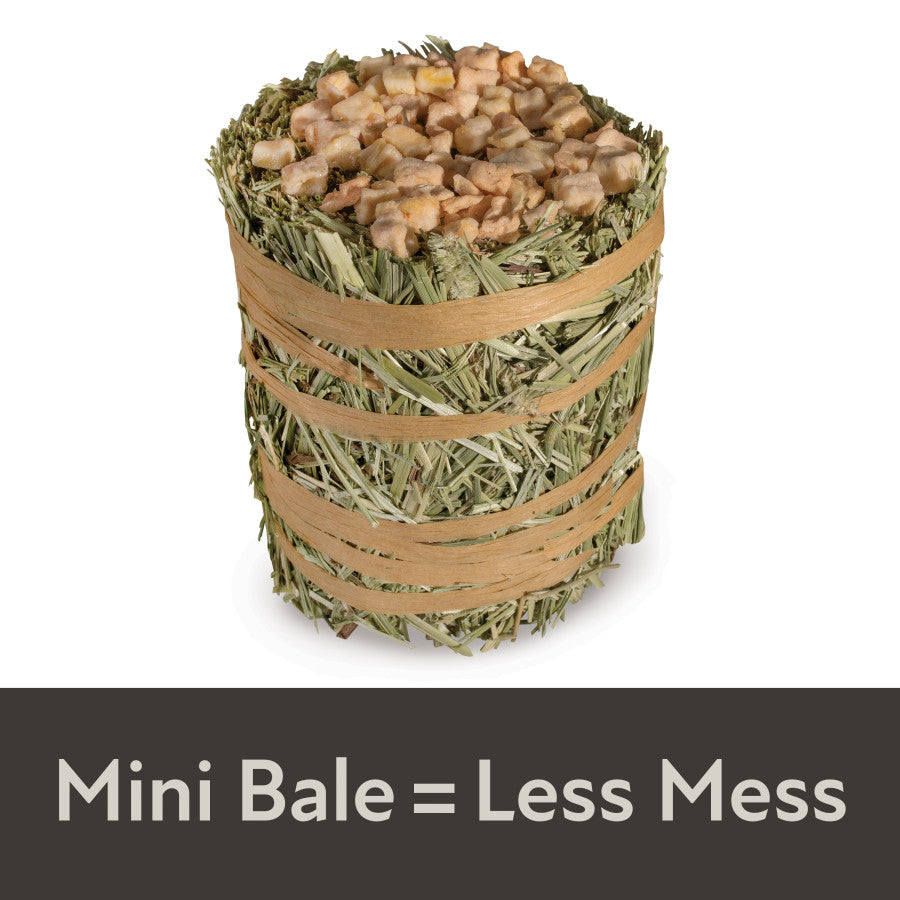 1ea/3.5 oz