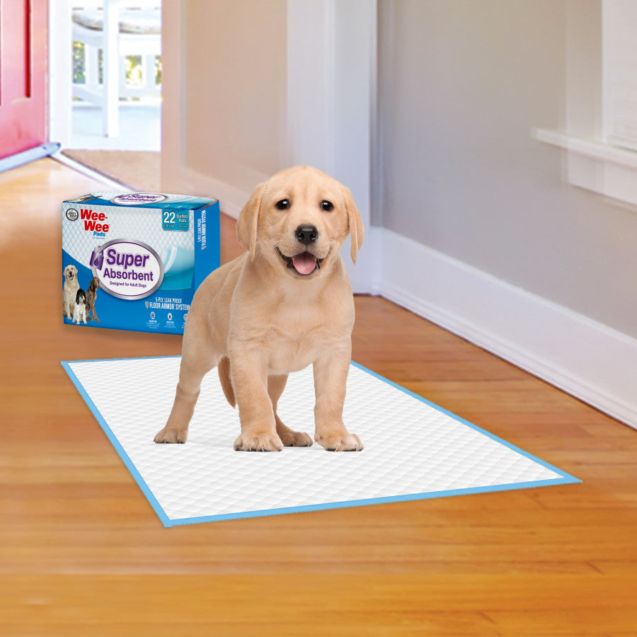 Super Absorbent, 1ea/22 ct