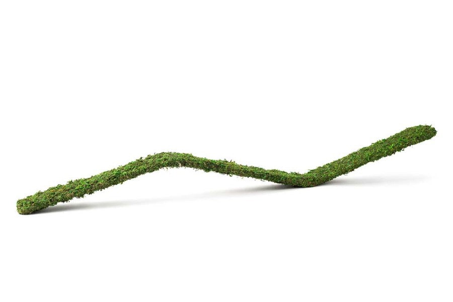 Fresh Green, 1ea/3 ft