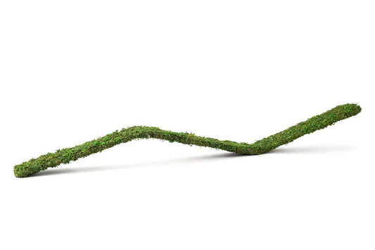 Fresh Green, 1ea/3 ft