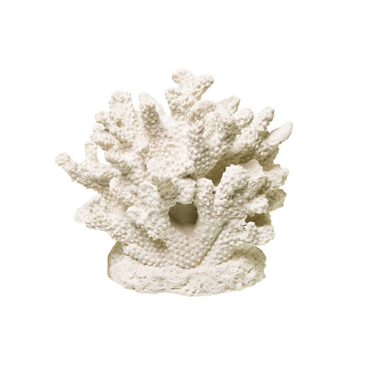 White, 1ea/6 in