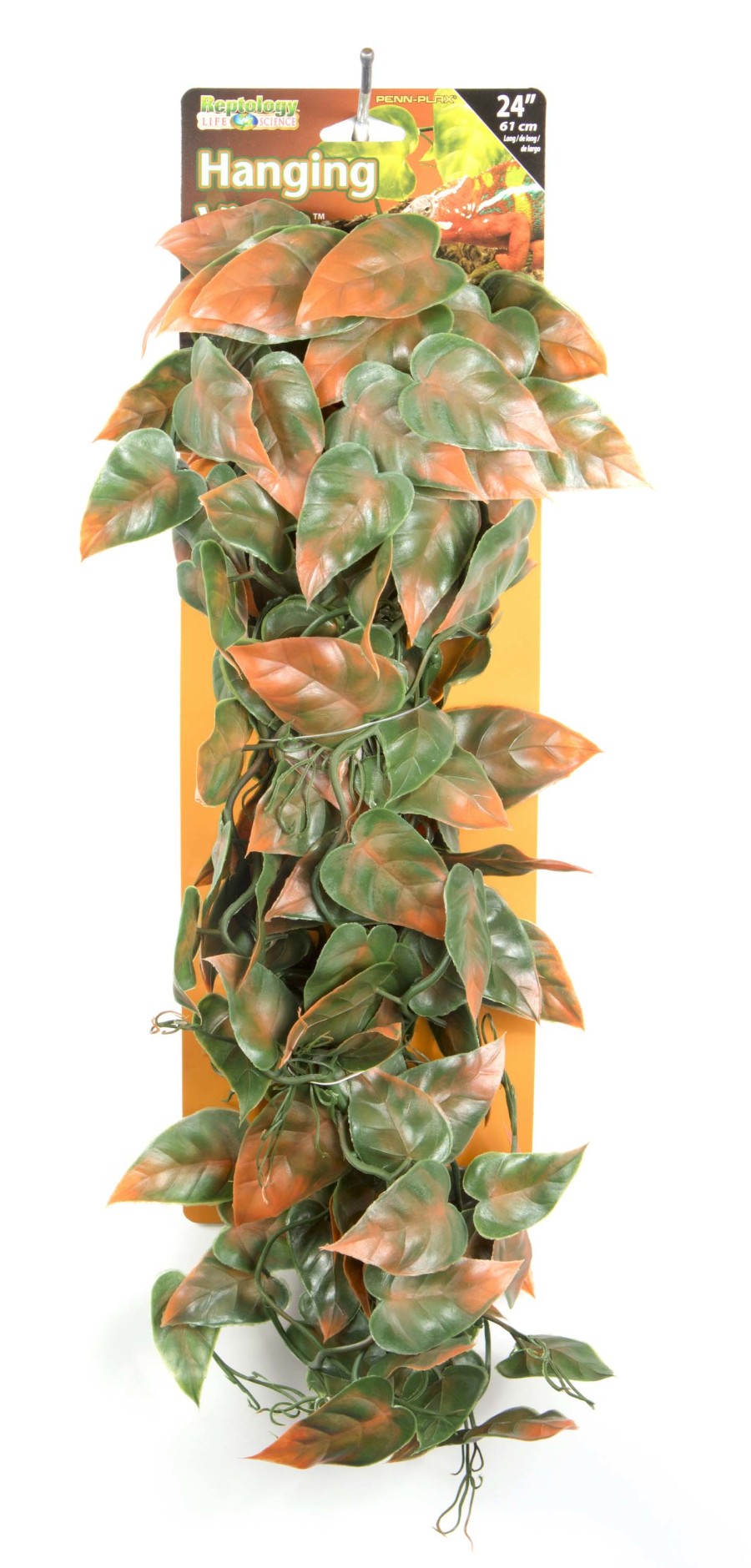 Green, Brown, 1ea/24 in