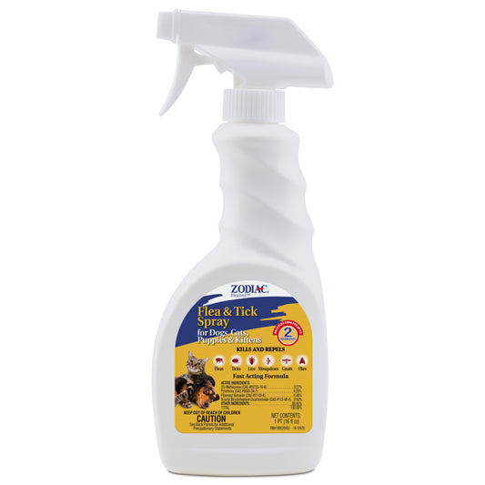 1ea/16 fl oz