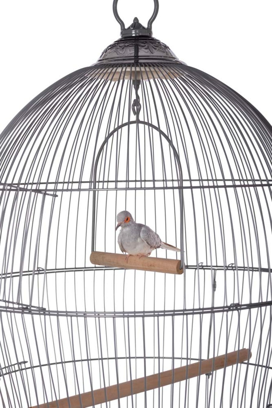 Grey, 1ea