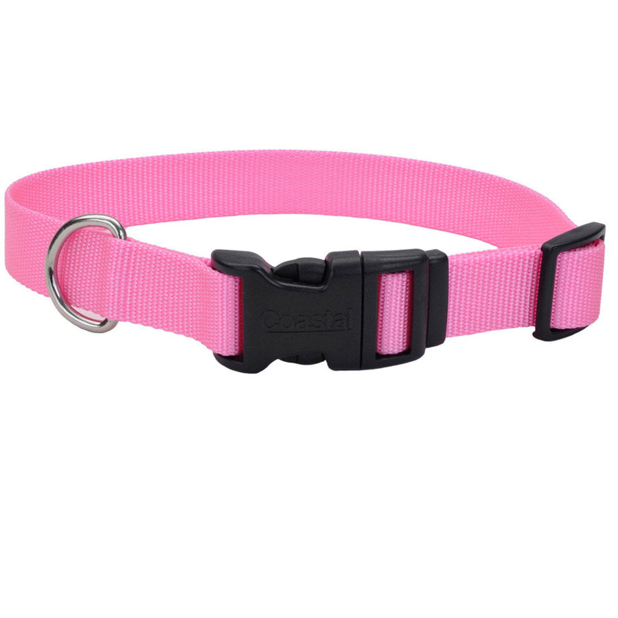 Bright Pink, 1ea/3/4 In X 14-20 in